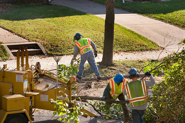 Best Lawn Watering Services  in Hawaiian Gardens, CA